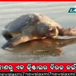 ବିଜେପିରେ ଯୋଗ ଦେଲେ ରଞ୍ଜନ କୁମାର ସେଠ୍