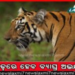 ନାଲ୍‌କୋକୁ ନିଅଣ୍ଟ, ୨୪ ଗାଁରେ ଜଳ ସଂକଟ