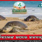 ଏମ୍ସରେ ଆର୍ଟିଫିସିଆଲ୍ ଇଣ୍ଟେଲିଜେନ୍ସ ଜରିଆରେ ରୋଗ ଚିହ୍ନଟ