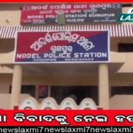 ଅଲିଭ୍‌ ରିଡ୍‌ଲେଙ୍କ ଉପରେ ଜଳବାୟୁ ପ୍ରଭାବ