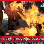 ଦୀଘା ମୁହାଣରୁ ଏକ କ୍ୱିଣ୍ଟାଲର ବିରଳ କଇଁଛ ଉଦ୍ଧାର