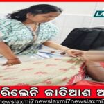 ସରକାରଙ୍କ ପକ୍ଷରୁ ପ୍ଲାଷ୍ଟିକ୍‌ ଚାଉଳ ଯୋଗାଣ ଅଭିଯୋଗ