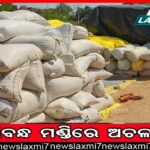 କାଶୀପୁରରେ ଅଭାବନୀୟ ଘଟଣା: ସ୍ତ୍ରୀକୁ ହତ୍ୟା କଲା ସ୍ୱାମୀ