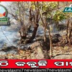 ଏଥର ବର୍ଷାରେ ଭିଜିବ ହୋଲି!