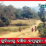 ଜାତୀୟ ଜନଜାତି କମିସନଙ୍କ ଉଦ୍‌ବେଗ: ଏସ୍‌ସି ଓ ଏସ୍‌ଟି ଗୋଟିଏ ବିଭାଗ ନେଇ ଆପତ୍ତି ଉଠାଇଲେ