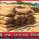 ନବ ଦାସଙ୍କ ହତ୍ୟାକାଣ୍ଡ: ଗୋପାଳର ମାନସିକ ସ୍ଥିତି ଯାଞ୍ଚ ଆବେଦନ ମାମଲାର ଶୁଣାଣି ଶେଷ, ରାୟ ସଂରକ୍ଷିତ