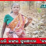 ଚର୍ଚ୍ଚାରେ ୩ କୁନି ଧାବକ: କୋରାପୁଟରୁ ଦାମନଯୋଡ଼ି ଦୌଡ଼ିଲେ