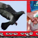 ମୁଣ୍ଡାମା ଗ୍ରାମବାସୀଙ୍କ କୋହ, ‘ଭୋଟ ବେଳେ ନେତାଙ୍କୁ ଦେଖୁଛୁ, ବିକାଶ ଦେଖିନୁ’