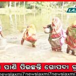 ଶଗଡ଼ପଟା-ଟାଙ୍ଗିରିଆପାଳ ଲାଇନ୍‌ ଟ୍ରେନ୍‌ ଚଳାଚଳ ପାଇଁ କାର୍ଯ୍ୟକ୍ଷମ