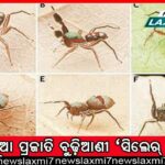 କଳାକାର ବଞ୍ଚିଲେ ସିନା କଳା ବଞ୍ଚିବ