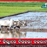 ଲୋକଙ୍କ କାମରେ ଆସୁନି କୋଟିଆ ଶୀତଳ ଭଣ୍ଡାର, ବୃଦ୍ଧି ପାଉଛି ଅସନ୍ତୋଷ