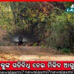 ପୁଲିସ ଗୁଳିରେ ଦୁର୍ଦ୍ଦାନ୍ତ ଶଙ୍କର ଜଖମ