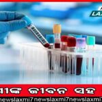 ବେଧଡକ ଭାବେ ଚାଲିଛି ବେଆଇନ ଇଟା ଭାଟି; ନଷ୍ଟ ହେଉଛି ନଦୀ ପଠା, ସଂକଟରେ ପରିବେଶ